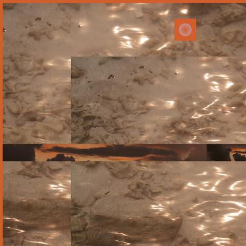 shimmers
