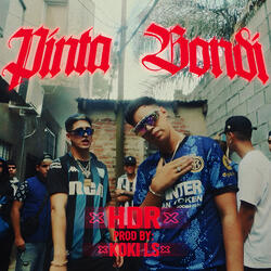 PINTA BONDI