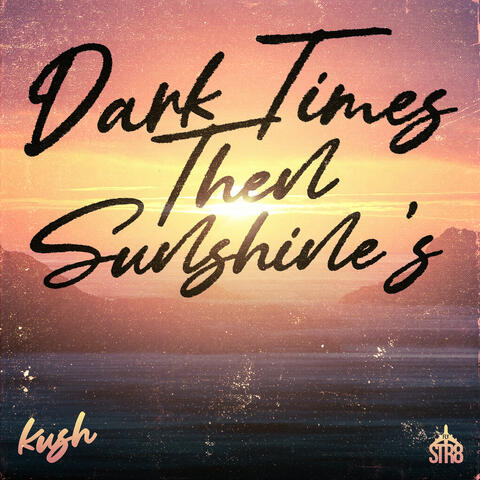 D.T.T.S (Dark Times Then Sunshines)