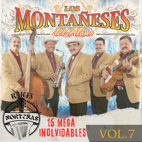 RAICES NORTEÑAS, Vol. 7
