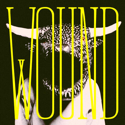 Wound