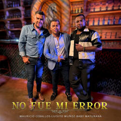 No Fue Mi Error