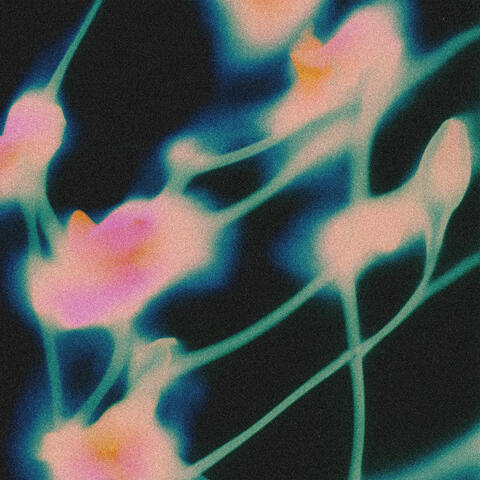 Finity
