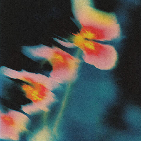 Silence // Into Essence