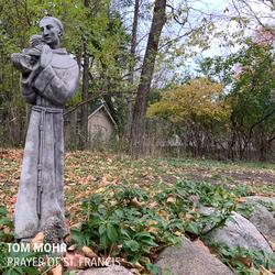 Prayer of St. Francis