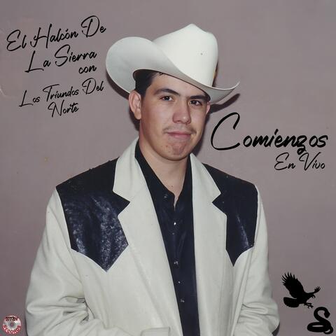Comienzos