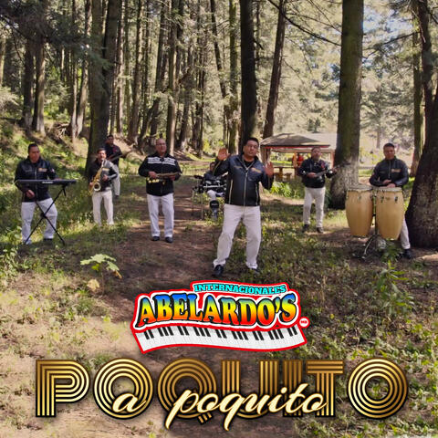 Poquito A Poquito