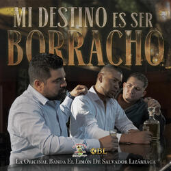 Mi Destino Es Ser Borracho