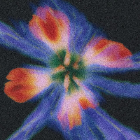 Used To Know
