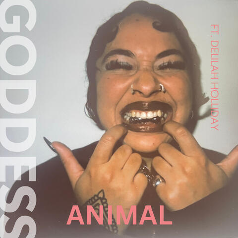 Animal