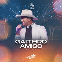 Gaiteiro Amigo