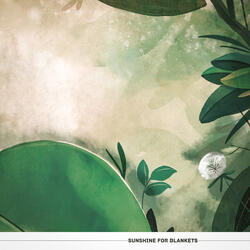 Sunshine for blankets