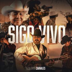 Sigo Vivo