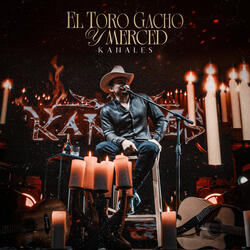 El Toro Gacho y Merced