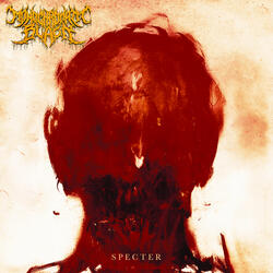SPECTER