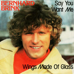 Wings Made Of Glass