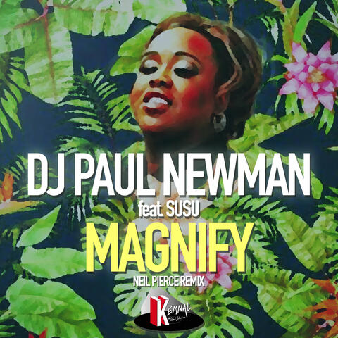 Magnify