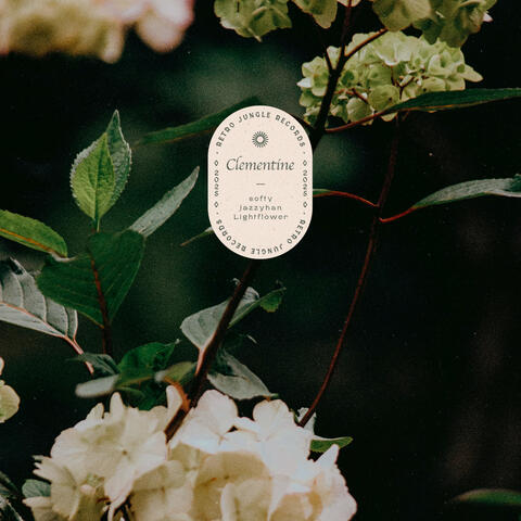 Clementine