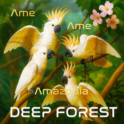 Ame Ame Amazonia