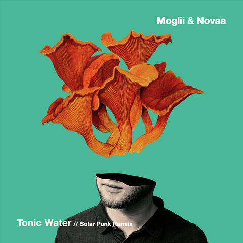 Tonic Water