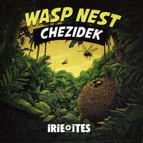 Wasp Nest