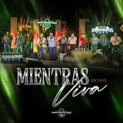 Mientras Viva