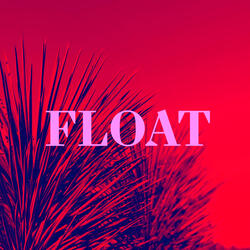 Float