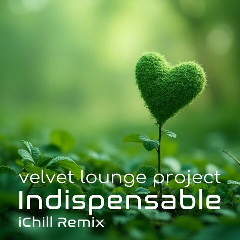 Indispensable