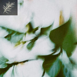 Breezyleaves