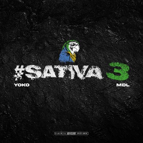 Sativa 3