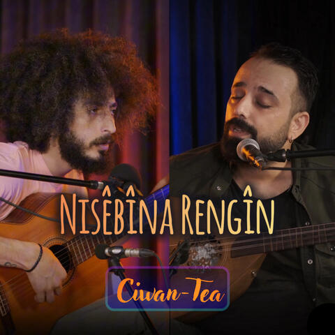 Nisêbîna Rengîn