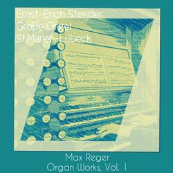 Monologe für Orgel, Op. 63: No. 5 in F Minor, Introduktion - No. 6, Passacaglia