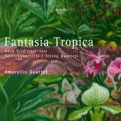 String Quartet No. 3, Op. 30 "Fantasia tropica": I. La sera. Poco sostenuto - Presto tumutuoso