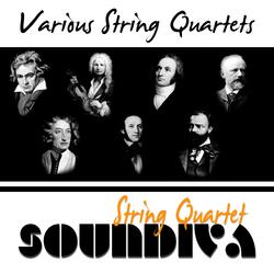 String Quartet No. 1 in F Major, Op. 18 No. 1: I. Allegro con brio