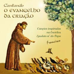 O Universo, Linguagem de Deus