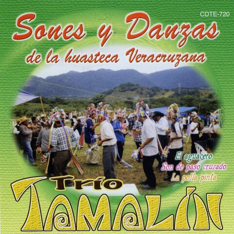 Sones y Danzas de la Huasteca Veracruzana