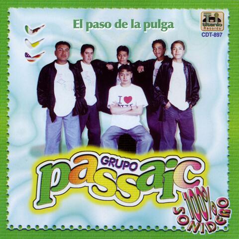El Paso de la Pulga