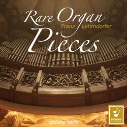 6 Organ Sonatas, Op. 65, No. 6 in D Minor: I. Chorale. Andante sostenuto. Allegro molto & II. Fuga. Sostenuto e legato