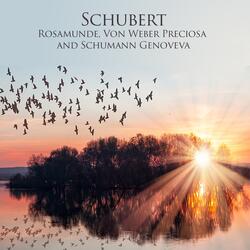 Rosamunde, D797: V. Geisterchor: In der Tiefe wohnt das Licht