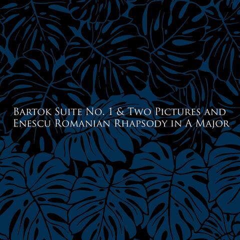 Bartok Suite No. 1 & Two Pictures and Enescu Romanian Rhapsody in A Major
