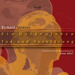 Ein Heldenleben, Op. 40: VI. Des Helden Weltflucht