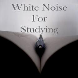 White Noise for Studying and Concentration