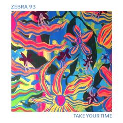 Take Your Time (Virtual Memory Virus Remix)