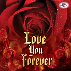 Ae Mere Humsafar (From "Baazigar")