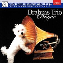 Trio in E-Flat Major, Op. 40: I. Andante