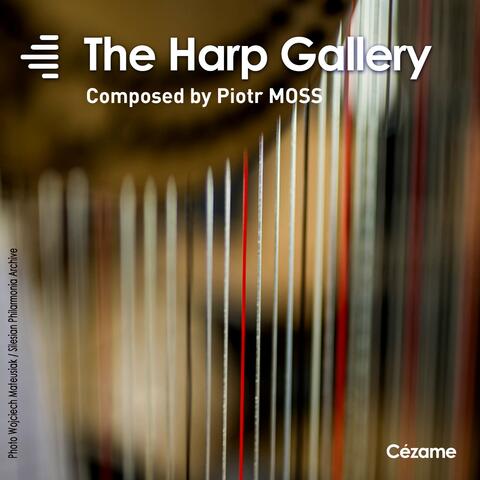 The Harp Gallery