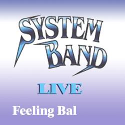 Bamboch System