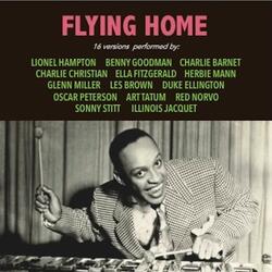 Flying Home