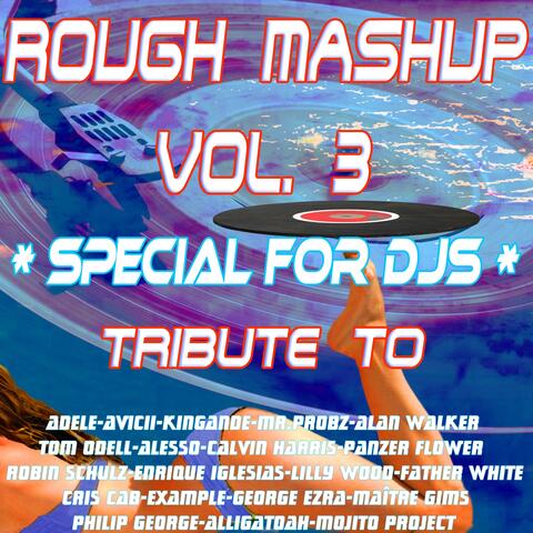 Rough Mashup, Vol. 3