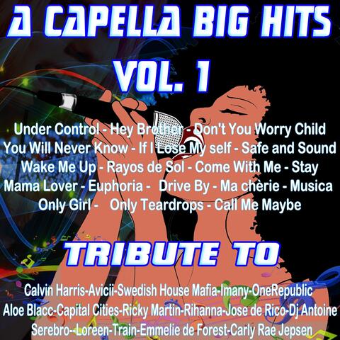 A Capella Big Hits, Vol. 1